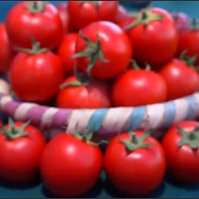 Agrimatco Tomatoes Preview Short Promo