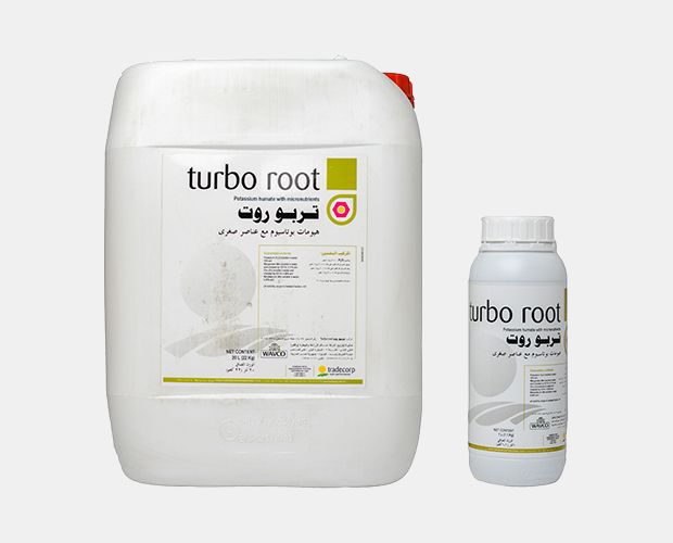Turbo root