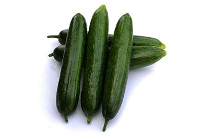 Cucumber EL-LAMA F1